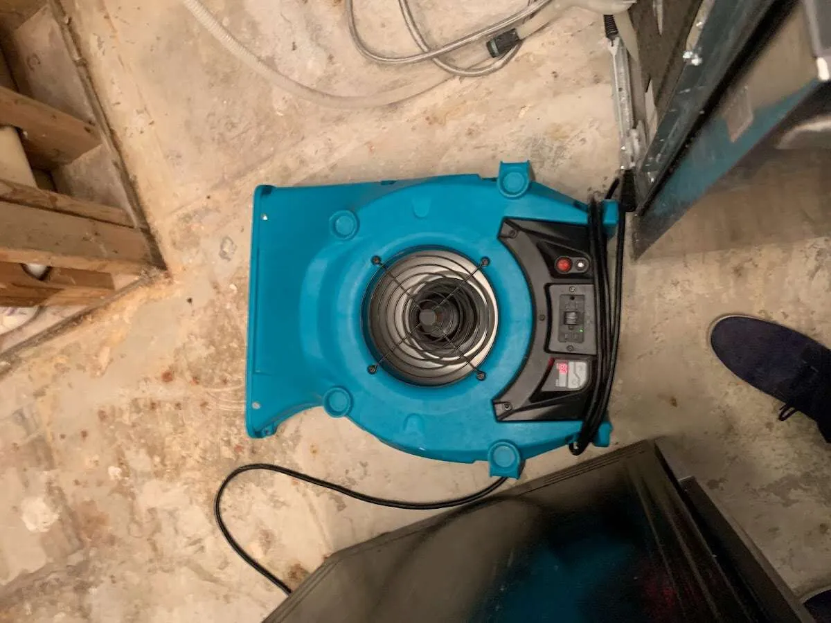 Air mover drying equipment for Mold Remediation & Removal in Lakeland